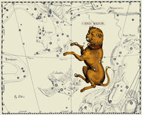 http://c328301.r1.cf1.rackcdn.com/SCIBY6024LARGE.jpg
