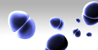 Enterococcus Bacteria Poster Print by Spencer Sutton - Educational Science Poster