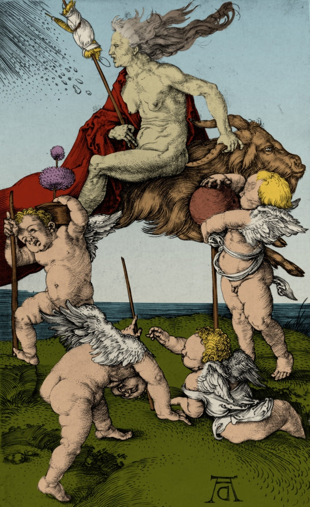 Witch Riding Backwards On A Goat Poster Print