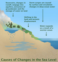 Causes of Changes in Sea Level Poster Print illustrating environmental factors.