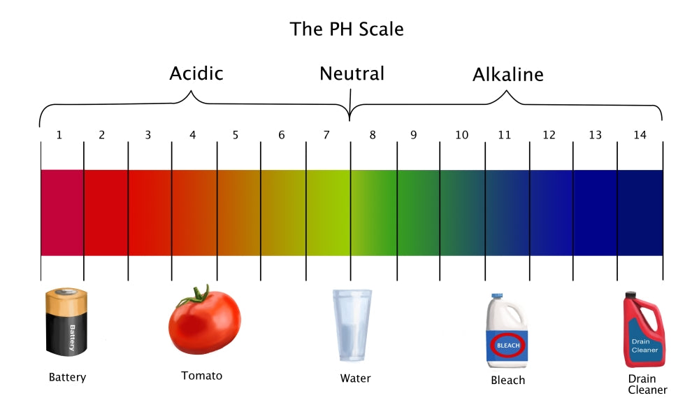 pH Scale Poster Print by Spencer Sutton, vibrant educational poster.