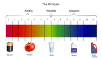 pH Scale Poster Print by Spencer Sutton, vibrant educational poster.