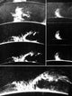 Prominences on the Sun 1937 Poster Print showcasing solar prominences.