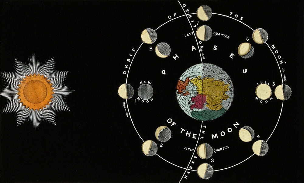 Phases of the Moon 1846 Poster Print showcasing lunar phases in detail.