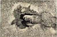 Langley's Sunspot Observation 1873 art print showcasing solar phenomena.