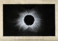 Corona of the Sun during Total Eclipse Poster Print by Science Source