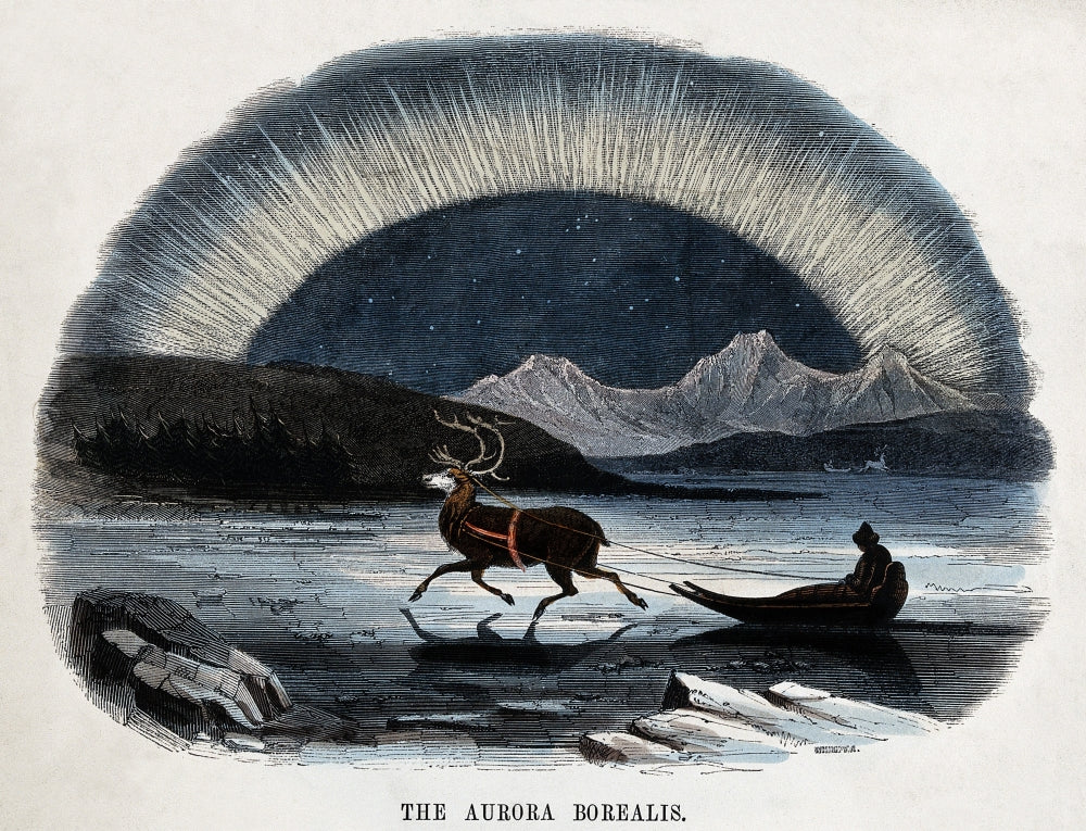 Aurora Borealis and Reindeer-Drawn Sledge Poster Print showcasing vibrant colors of the northern lights.