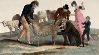 Luigi Marchelli Smallpox Inoculation Poster Print showcasing historical medical vaccination efforts.