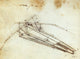 Da Vinci Flying Machine 1485 Poster Print showcasing innovative design.