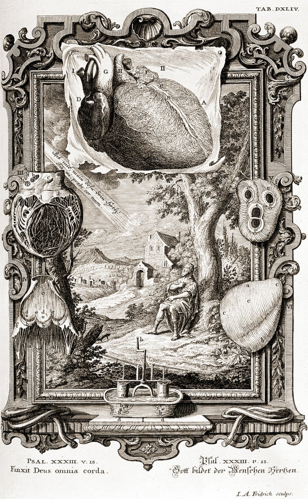 Heart Illustrated as Pumping Machine Poster Print showcasing detailed anatomical art.