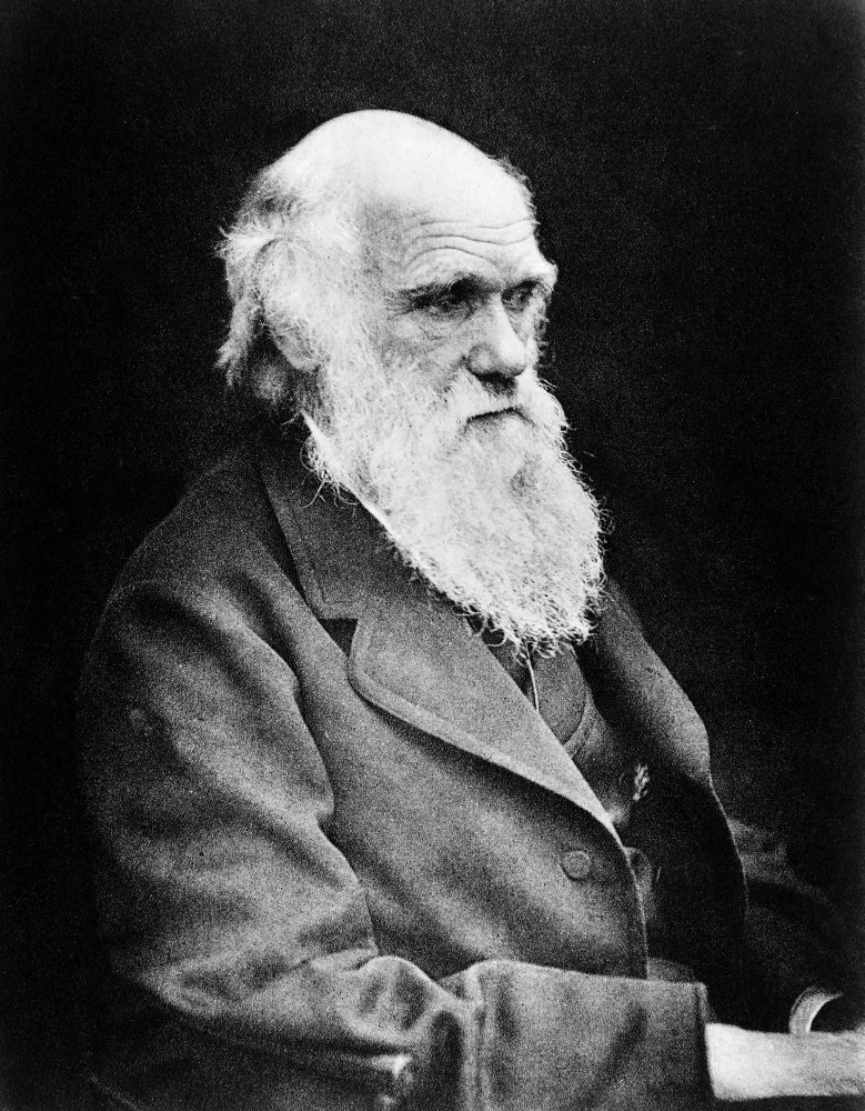 Charles Darwin Poster Print celebrating the father of evolution