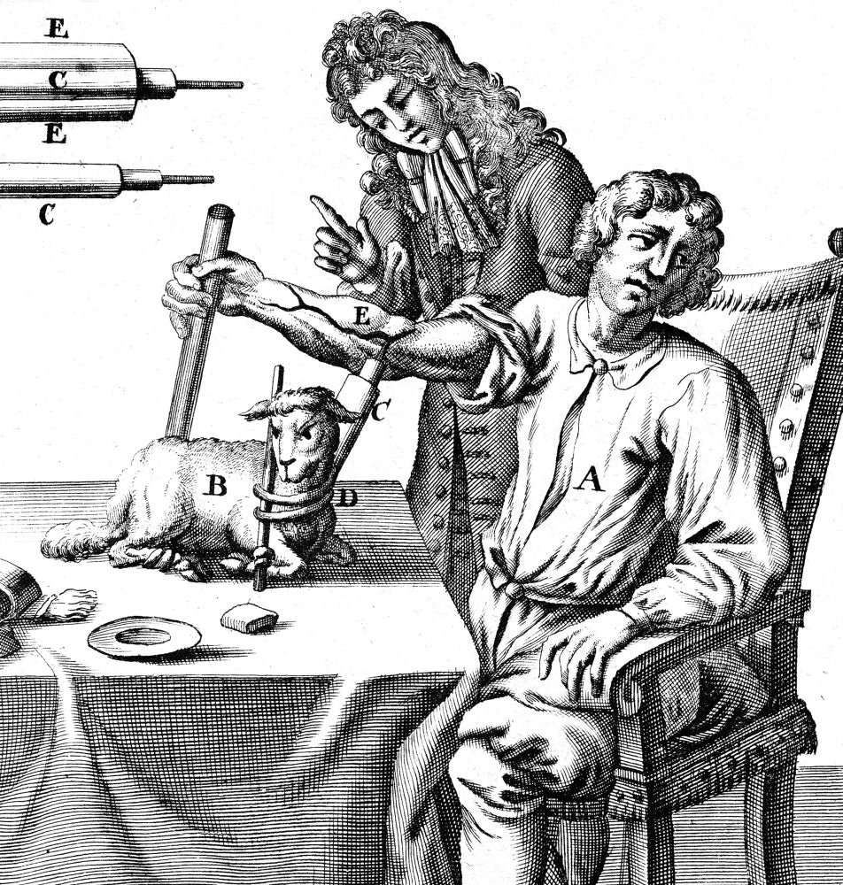 Richard Lower Transfusing Blood: Lamb to Man poster print