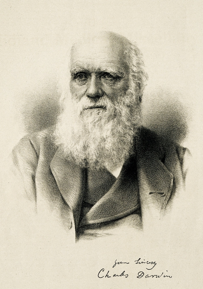 Charles Darwin Poster Print celebrating the father of evolution