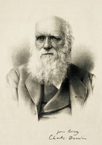 Charles Darwin Poster Print celebrating the father of evolution
