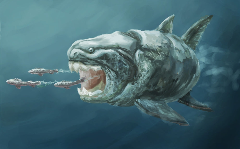 Placoderm Illustration Poster Print by Spencer Sutton - detailed marine life artwork