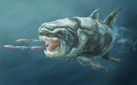 Placoderm Illustration Poster Print by Spencer Sutton - detailed marine life artwork