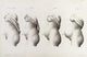 Pregnancy Trimesters Illustration Poster Print depicting the changes during pregnancy.