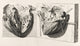 Heart Anatomy Illustration Poster Print from 1739 showing detailed anatomy