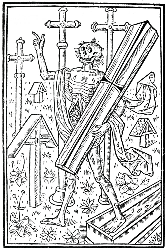 Danse Macabre 1496 Poster Print showcasing intricate details and historical themes.