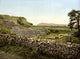 Amphitheater of Tusculum 1890s Poster Print showcasing ancient architecture.