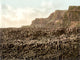 Giant's Causeway 1890s Poster Print showcasing stunning natural beauty.