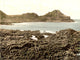 The Steuchans Giant's Causeway Poster Print - 1890s Artwork