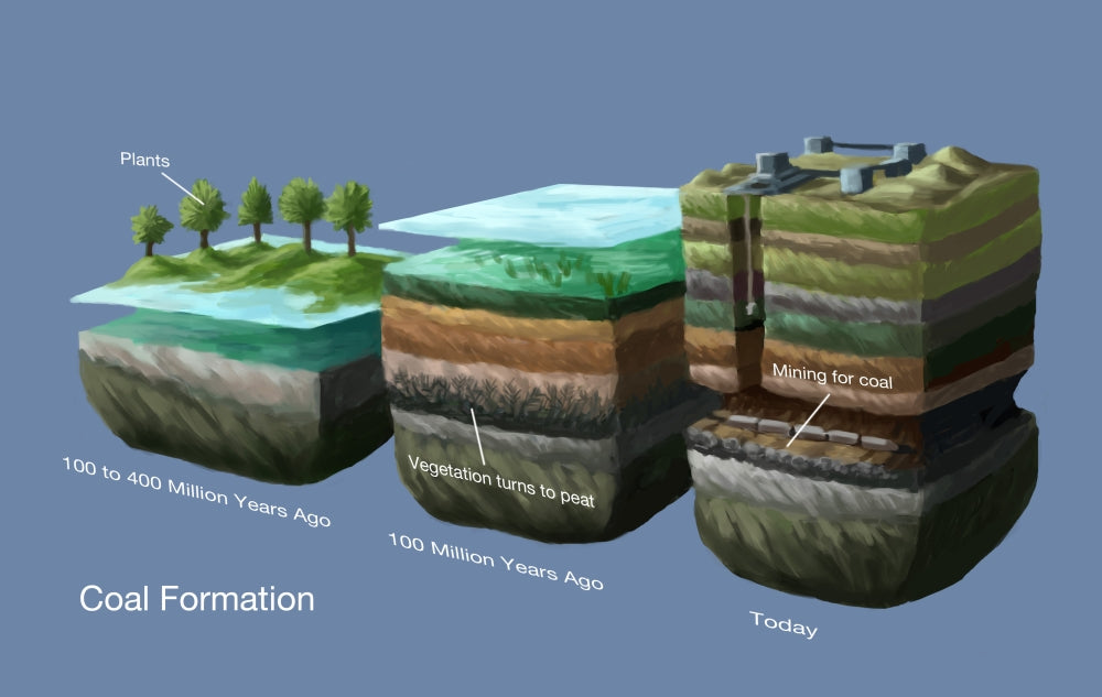 Coal Formation Poster Print by Spencer Sutton showcasing geological processes.