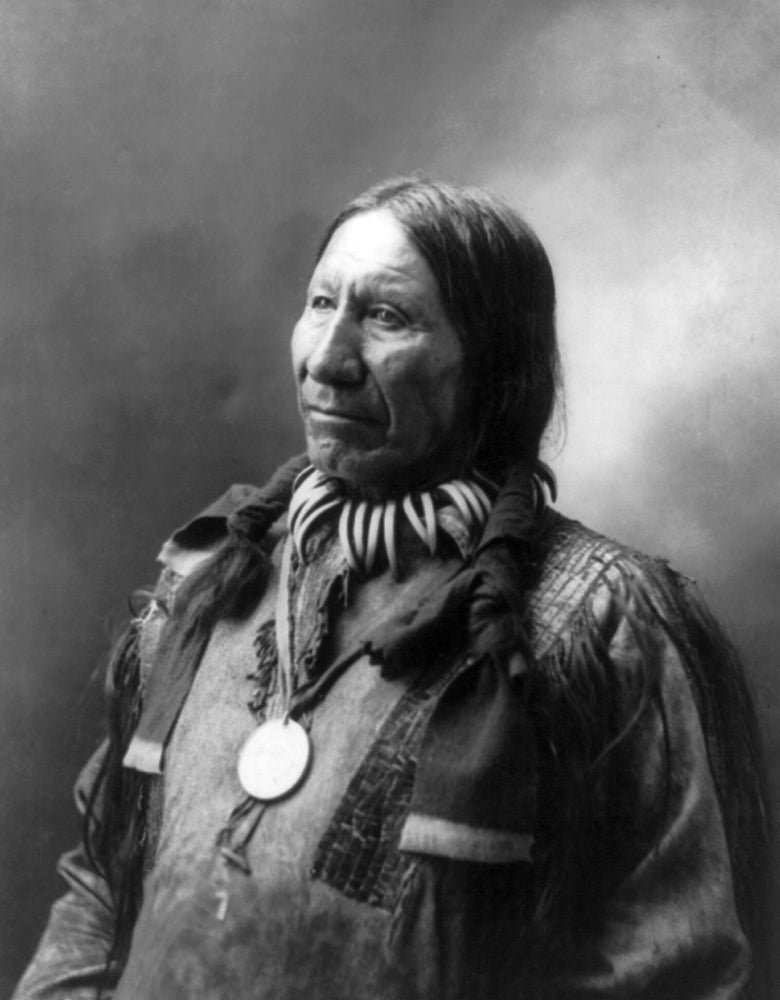 American Horse Oglala Lakota Indian Chief Poster Print