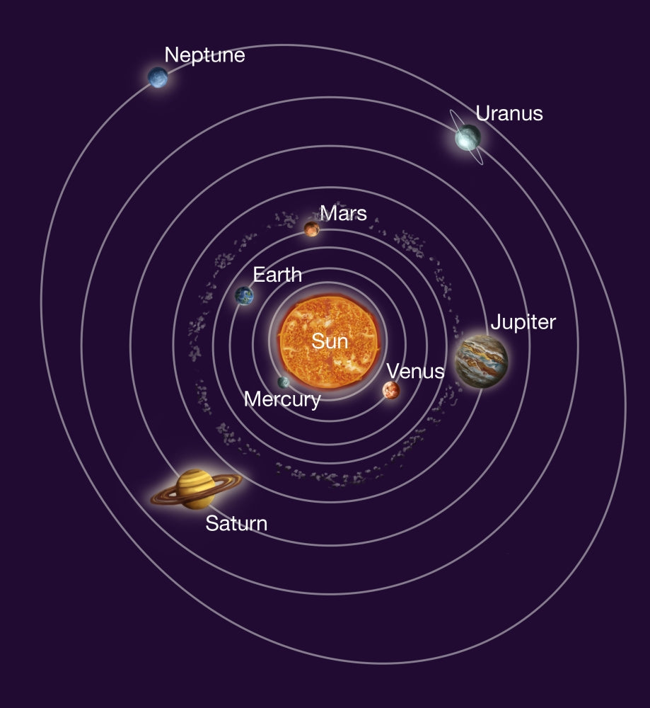 Solar System Orbits Illustration Poster Print by Spencer Sutton.
