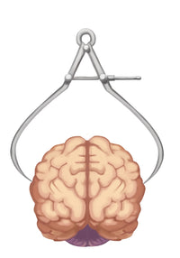 Brain Size Conceptual Poster Print by Spencer Sutton, featuring intricate brain imagery.