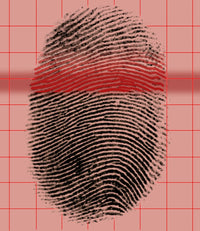 Arch Fingerprint Poster Print showcasing unique fingerprint patterns