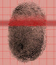 Arch Fingerprint Poster Print showcasing unique fingerprint patterns