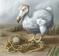 Dodo Bird Illustration Poster Print by Spencer Sutton