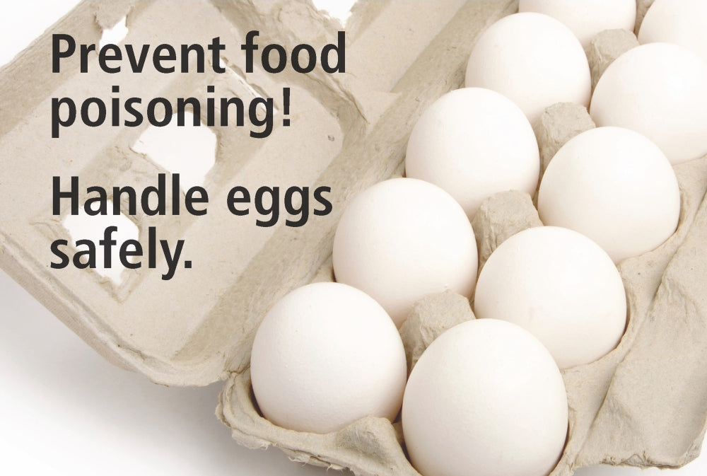 FDA Egg Safety Educational Poster Print on premium paper.