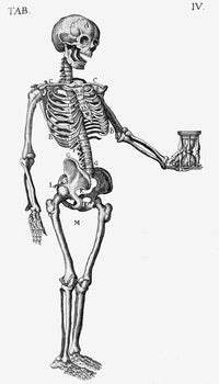 Skeleton with Hourglass 16th Century Poster Print by Science Source.
