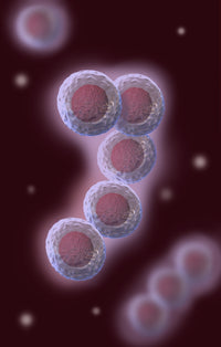 Stem Cells Illustration Poster Print by Spencer Sutton, showcasing detailed scientific illustrations.