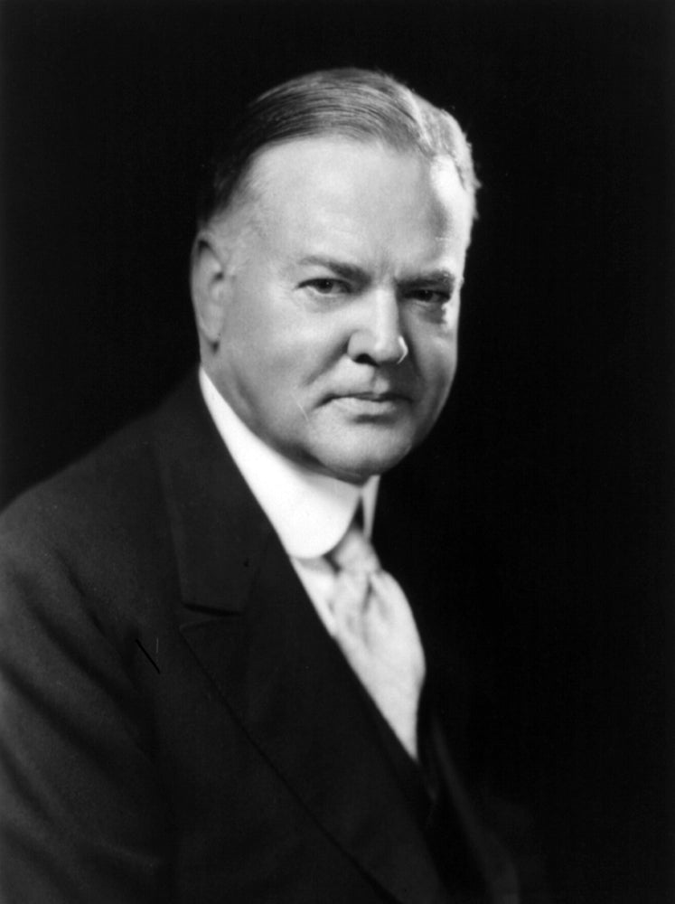 Herbert Hoover 1928 Poster Print showcasing political history.