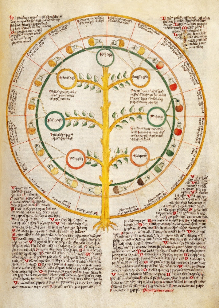 Text on Urinomancy 15th Century Poster Print on heavy stock paper.
