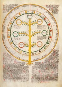 Text on Urinomancy 15th Century Poster Print on heavy stock paper.