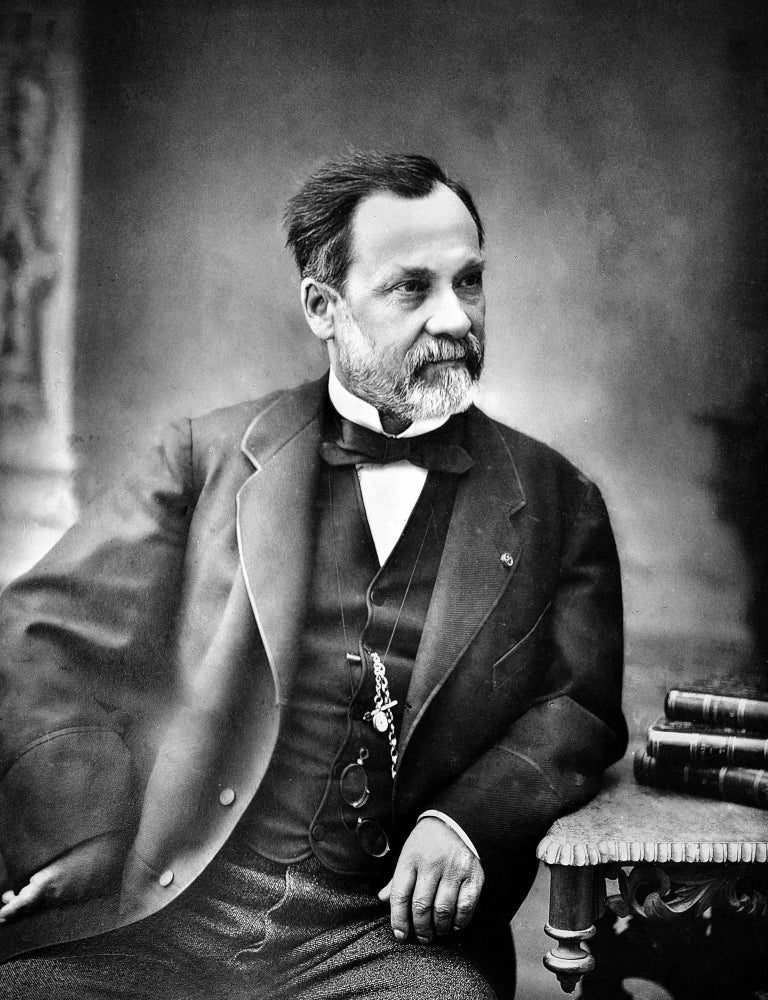 Louis Pasteur Microbiologist Poster Print showcasing his scientific legacy.