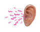 Sound Entering Human Outer Ear Illustration Poster Print
