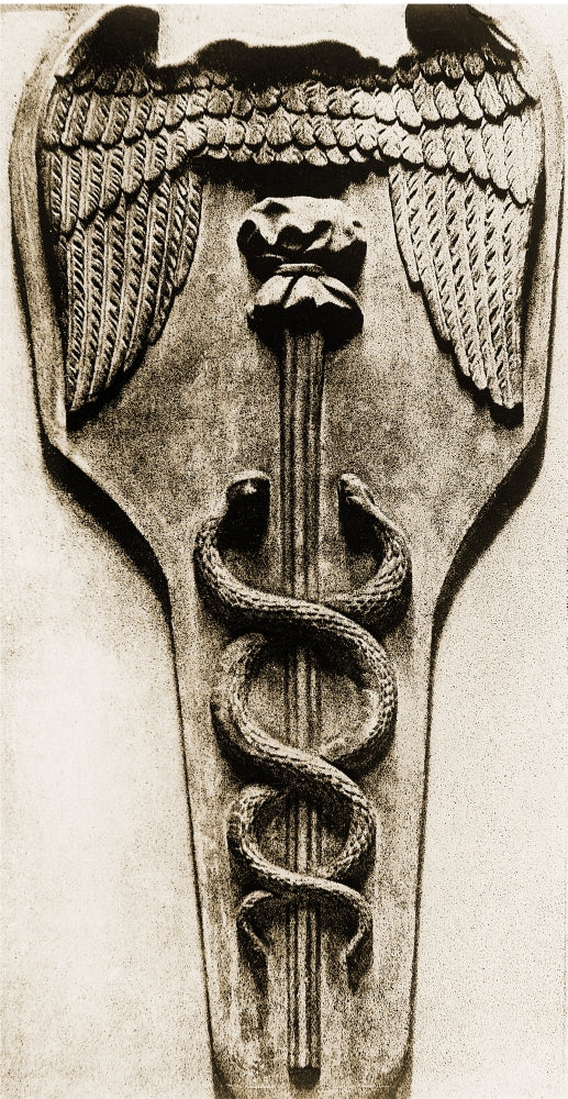 Caduceus Medical Symbol Poster Print showcasing the iconic symbol of healing.