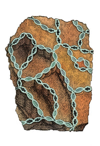Coral Fossil Poster Print showcasing detailed marine life artwork.