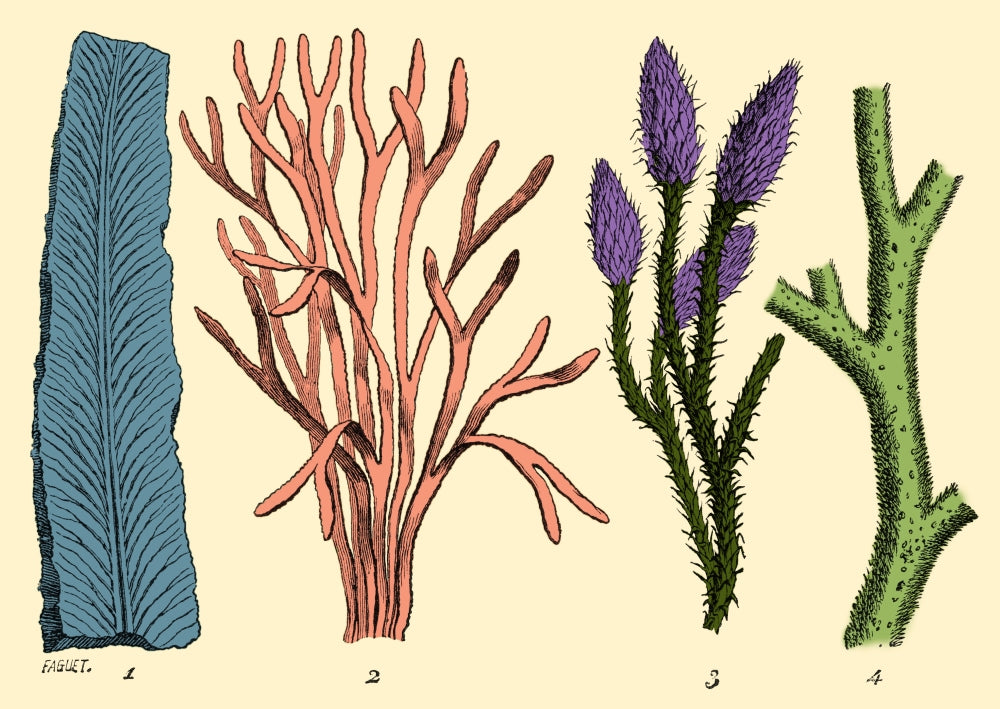 Silurian Plants Poster Print showcasing ancient flora