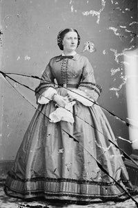 Harriet Lane Poster Print by Science Source featuring vibrant colors and historical significance.