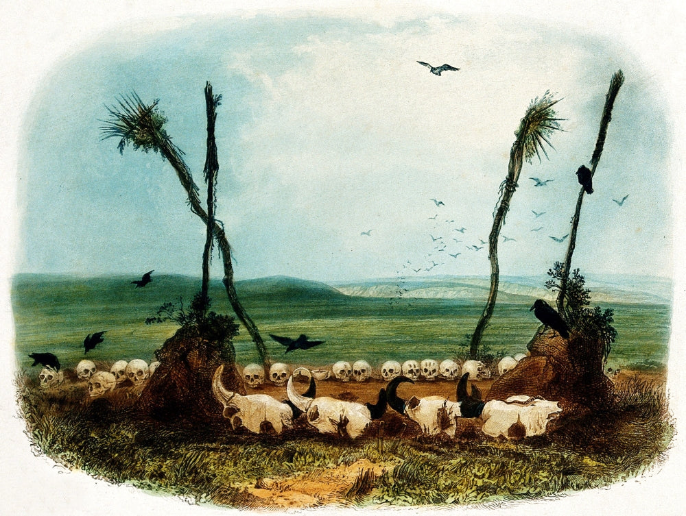 Ceremonial Offering poster print depicting Mandan Indians from 1839.