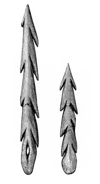 Prehistoric Barbed Point Harpoon Poster Print showcasing detailed historical craftsmanship.