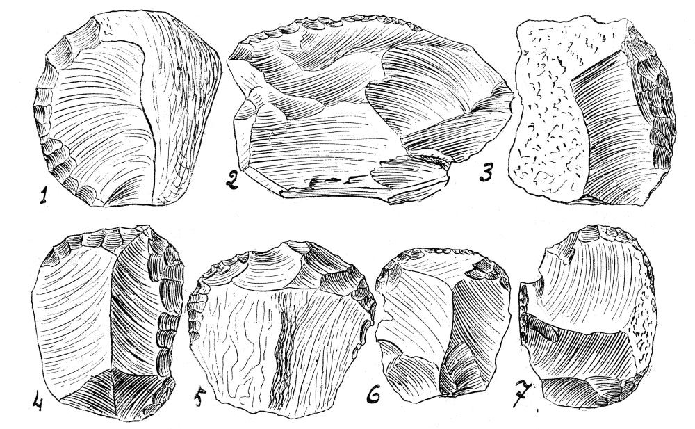Upper Paleolithic Scrapers illustration poster print, showcasing ancient tools.