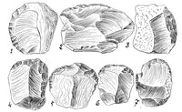 Upper Paleolithic Scrapers illustration poster print, showcasing ancient tools.