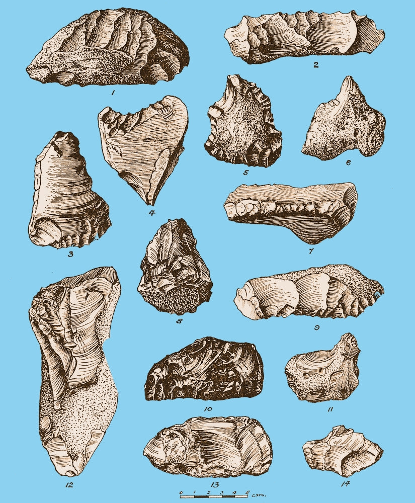 Eoliths from France, Belgium and England Poster Print showcasing prehistoric artifacts.